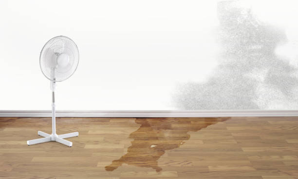 Best Fire Damage Restoration  in North Gates, NY