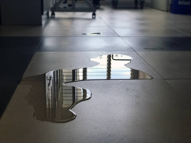 Best 24-hour water damage restoration  in North Gates, NY