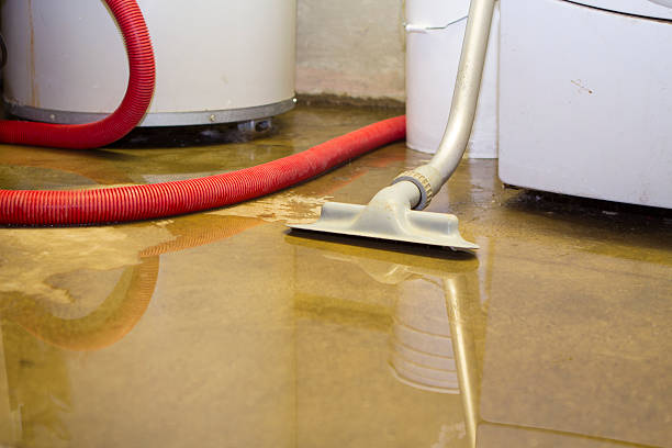 Carpet water damage restoration in North Gates, NY